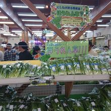 ほうれん草を販売中