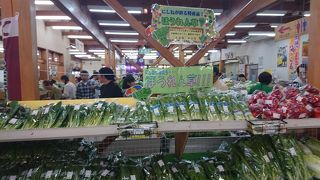 ほうれん草がいっぱい