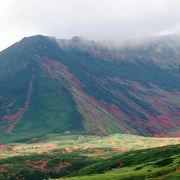 登山できる方なら☆５つなのかな