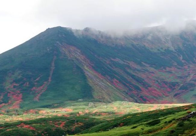 登山できる方なら☆５つなのかな