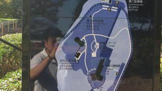 無料にびっくり