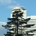 札幌駅の隣にあります