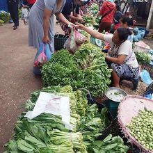 新鮮な野菜が並ぶ一角