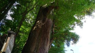 日光の遺産としての価値は神社仏閣だけではない