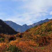 紅葉が綺麗でした