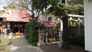 近くに大きな公園がありました。