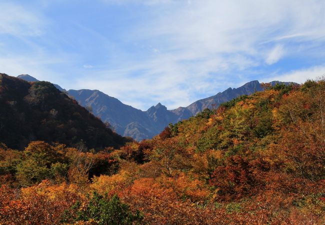 紅葉が綺麗でした