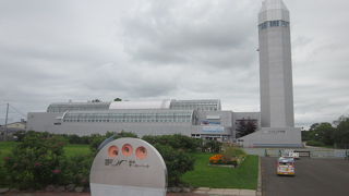 バッテリーカーも楽しめます（お子様向け）