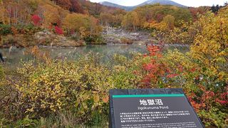 温泉水がたまった沼