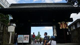 表面が艶々というかツルツルというか