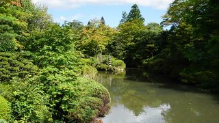 池を一周しながら、景色の変化を楽しみます