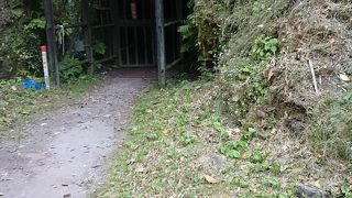 世界史に刻まれた石見銀山