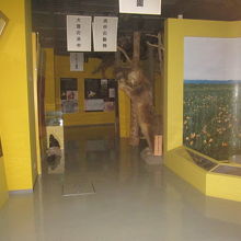 実は郷土資料室も隣接しています