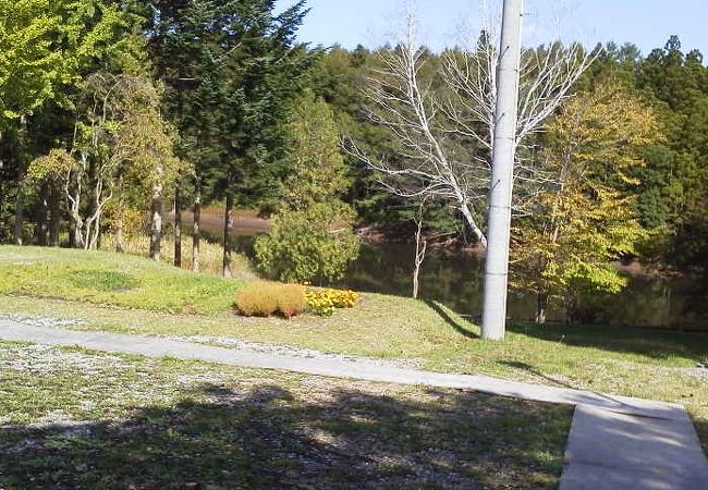 沼と樹木の公園です、