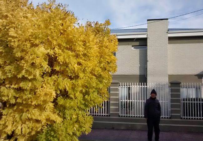 エドゥアルド ミニッチェリ美術館