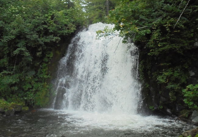 静寂の中で（雨霧の滝）