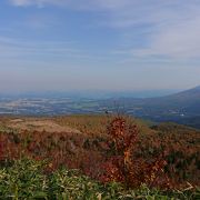 岩手山の稜線がきれいに見えた