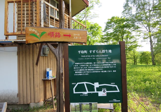平取町芽生すずらん群生地 クチコミ アクセス 営業時間 門別 日高 フォートラベル