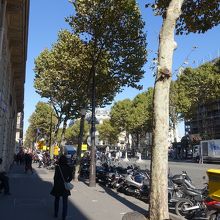 マドレーヌ付近の風景