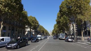 街路樹の美しい通り