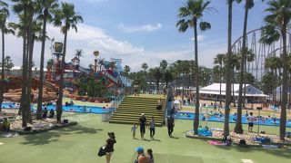 東海最大規模のプール