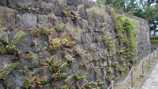 東京ガス敷地内