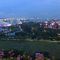 部屋からの眺め(夕方)。