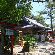 横から見るとさらにその印象が濃いです