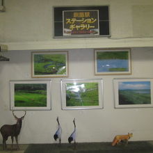 2017年8月末の展示。夏の釧路湿原の景観が並んでいました