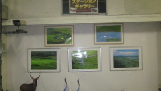 ホーム地下通路脇の展示、少しずつ入れ替えているそうです