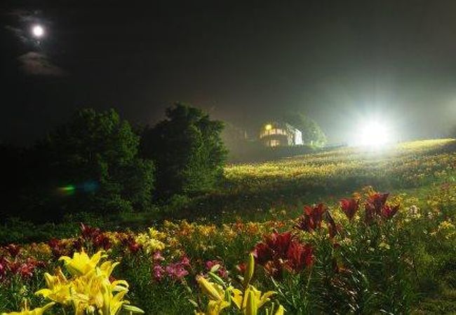 オーンズ春香山ゆり園 クチコミ アクセス 営業時間 小樽 フォートラベル