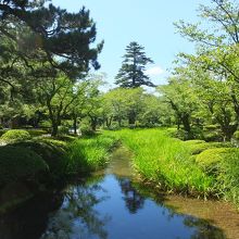 橋の上から下流側。
