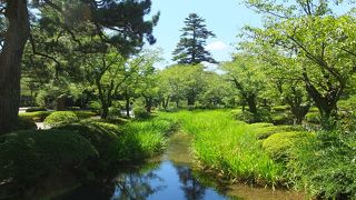 川の流れがきれい