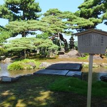 いろんな要素をこの小さな景色に凝縮。