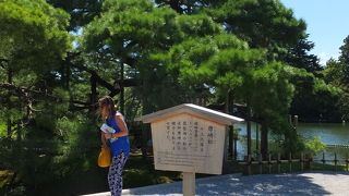 ごくごく普通の橋。通路のような。