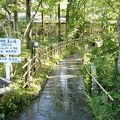 宿泊してみて分かる玉の湯の良さ。