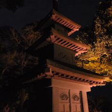 夜姿。夜間開園時のみ見ることができます。