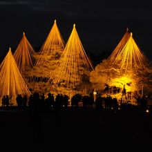 きれいに見渡せます。