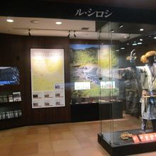 展示コーナー全体の様子