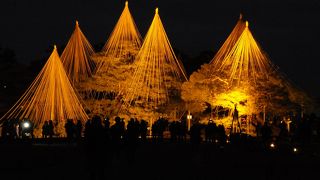 昔は屋敷があった一角のようです。