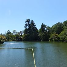 正面がサザエ山。松の木の存在感に埋もれてます。