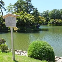 唐崎松の近くから。亀の形みたい。頭の岩が右端に。