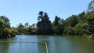 ぐるぐるまわりの登山道が楽しい。標高はあまりなく、頂上は狭い。