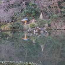 正面の岩島がそれです。