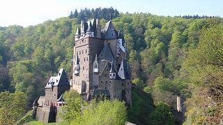 森に囲まれた優美なお城