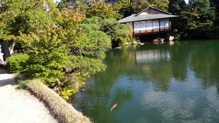 獅子落としの音にいやされます。