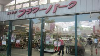 藤の季節ではなくても