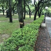 あいにくの雨でしたがオシャレな感じでした