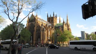 茶色のローマカトリックの大聖堂