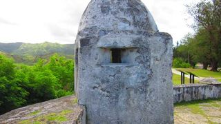 日本語の説明版あり